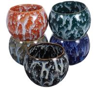 BESPORTBLE 5 pièces Tasses à Thé Céramique Cinq Éléments Résistantes Haute Température Service à Thé Chinois Décoratif pour Dégustation et Maison Lot de Coffret Cadeau