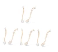 BESPORTBLE 8 Pièces Brosse À Chaussures De Nettoyage De Cuisine Brosse À Récurer Épurateur De Vernis À Bottes Brosse De Nettoyage d'oiseaux Brosse De Brillance De Chaussures Brosses De