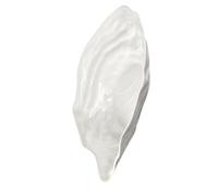BESPORTBLE Assiettes D'huîtres Plateau de Service Multifonctionnel en Céramique Blanche Design Unique et Irrégulier pour Diverses Occasions et Salades