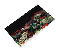 BESPORTBLE Autocollant décoratif Double Face Remplacement du Plateau de la Niche pour n/A Etiquette autocollante Autocollants Papier Peint adhésif Autocollant de Fond d'aquarium tapi