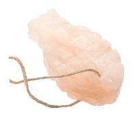 BESPORTBLE Bloc de Sel à pour Hamsters et Rongeurs Sel Naturel Nutrition Essentielle pour Petits Animaux Pratique et Réutilisable