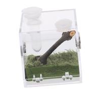 BESPORTBLE Boîte De Reproduction Transparente pour Araignées Et Insectes Terrarium Acrylique Compact pour De Petits Animaux pour Escargots Et Coléoptères
