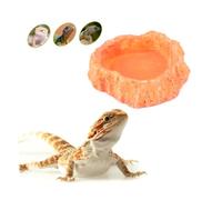 BESPORTBLE Bol Alimentation pour Reptiles Écuelle Antidérapante pour Lézards Et Tortues Récipient pour Eau Et Nourriture Accessoire Pratique pour Animaux Rampants Orange