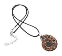 BESPORTBLE Breloques en ammonite spécimen pour collier avec design unique en coquillage tranche fossile