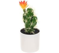 BESPORTBLE Cactus Artificiel Vert en Plastique Solide et Facile à Entretenir pour Décoration Intérieure Maison, Ornement Réaliste et Élégant