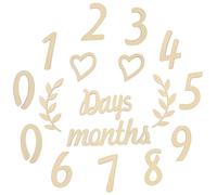 BESPORTBLE Cartes Étapes de Croissance Bébé en Bois 17 Pièces Cartes Commémoratives Mensuelles pour Photo Naissance et Anniversaire Décoration Bébé Unisexe pour Souvenirs et Suivi Âge
