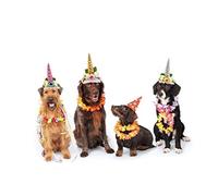 BESPORTBLE Chapeau Danniversaire pour Chien Chapeau De Fête Cosplay pour Animaux De Compagnie Corne Argentée Confortable Taille S