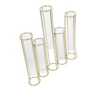BESPORTBLE Cinq Vases Hydroponiques Connectés Support De L'usine De Tube à Essai Vase à Fleurs Tube à Essai en Verre Vases à Éprouvette Support De Vase Un Verre Golden