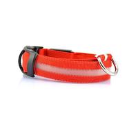 BESPORTBLE Collier De Sécurité LED pour Chien - Collier Circulaire en Nylon De 2 5 Cm avec Lumières Clignotantes - Suivez Votre Animal dans Lobscurité (lumière)