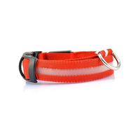 BESPORTBLE Collier LED pour Chien Nylon Collier Lumineux Sécurité Nocturne s Couleurs Modes Éclairage Variés
