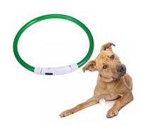 BESPORTBLE Collier pour Chien avec Chargeur 50 Cm Et Lumières LED Clignotantes pour La Nuit Vert