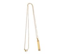 BESPORTBLE Collier Urne Funéraire pour Cendres Animaux Acier Inoxydable Or Pendentif Commémoratif Ouvrable Souvenir Discret et Confortable pour Port Quotidien