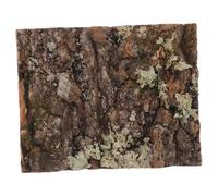BESPORTBLE Cork Bark Décor Naturel pour Terrarium et Aquarium pour Habitat Reptile Mur Intérieur et Plantes Vertes