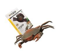 BESPORTBLE Crabe Télécommandé Électrique Vert, Modèle de Simulation ABS | Jouet Éducatif, Roues Universelles Incluses, 1 Set, Idée Présent, Fête d'Anniversaire Thème Animaux