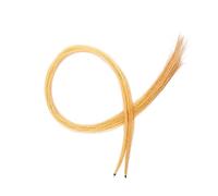 BESPORTBLE Crin Cheval Mongol Naturel pour Archet de Violon et Alto Cheveux Entiers Non et Lisse pour Musiciens et Débutants