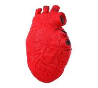 BESPORTBLE Décoration Halloween Cœur Simulé Plastique avec Taches de Sang Peintes Main Accessoire Dorgane Humain Réaliste pour Décorations Intérieures et Extérieures Effrayantes