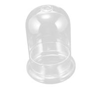 BESPORTBLE en Verre pour Fleurs Éternelles Petite Vitrine en Verre Globe de Rose Cloche pour Décoration Artisanale Ou Accessoire