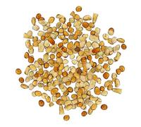BESPORTBLE Ensemble De Galets De Verre Élégants pour Aquarium 500 G Décoration Daquarium À Poissons Aquatiques Aspect Brillant Et Délicat Convient Aux Garçons Et Aux Filles Jardin