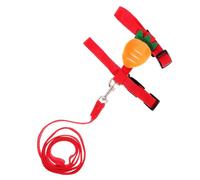 BESPORTBLE Ensemble De Laisses Décoratives pour Petits Animaux De Compagnie Corde De Traction Résistante À Lusure pour Une Utilisation en Extérieur