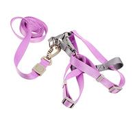 BESPORTBLE Ensemble Laisse Et Laisse pour Petits Chiens Léger Facile À Porter Multicolore
