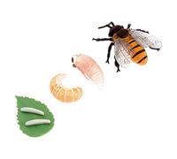 BESPORTBLE Figurines Éducatives Cycle de Vie des Abeilles pour Garçon et Filles, Mini Modèles Plastiques, Coloris Naturel, Jouets Cognitifs Montessori, Apprentissage Scientifique, Set 4