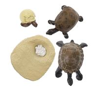 BESPORTBLE Figurines Réalistes de Cycle de Croissance de Tortue pour Garçon et Filles, Ensemble Éducatif de Modèles D’évolution Animale, Simulation Scientifique Ludique pour Apprentissage
