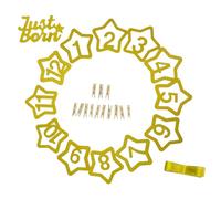 BESPORTBLE Guirlande Photo 1Er Anniversaire Bébé 12 Pinces, Bannière Photo Mensuelle Étoile Pailletée Rose et Or, Décoration Murale Fête Garçon et Filles un An