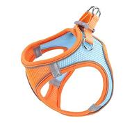 BESPORTBLE Harnais pour Animaux de Compagnie imperméable Harnais et Laisse pour Chat Manteau Chien Gilet Laisse la Laisse du Chien Chiffon Orange