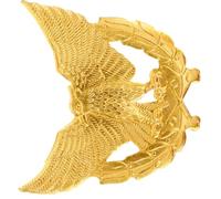 BESPORTBLE Insigne Aigle Métallique Décoratif Sécurité, Épinglette Goupille Métal, Taille Unique, Accessoire Uniforme Professionnel, Tenue Officielle, Badge Autorité Rigide