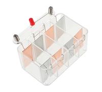 BESPORTBLE Kit Expérience Scientifique de Batterie à Matériel Expérience Physique pour Écoles et Éducation à Outil pour Garçon Fille Développe Compétences Cognitives Problèmes