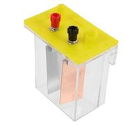 BESPORTBLE Kit Scientifique Batterie Fruits pour Expérimentation Physique Boîte Batterie Saline avec Plaques Métalliques Apprentissage Stem pour Élèves Découverte Conversion Énergie