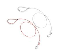 BESPORTBLE Laisse De Dressage pour Chien Câble en Fil Dacier Enveloppé pour Animaux De Compagnie Câble Dattache Robuste Corde De Traction