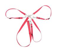 BESPORTBLE Laisse De Dressage Réglable pour Chien avec Triple Clip Laisse De Traction Nylon pour Chiens De Toutes Rouge
