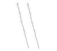 BESPORTBLE Lot De 2 Supports pour Plantes Grimpantes en PP 100 Cm pour Intérieur Et Extérieur, Cadre Décoratif De Branche D’Arbre, Treillis De Jardin pour Balcon Et Pot De Fleurs