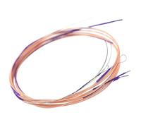 BESPORTBLE Lot de 4 Cordes Simples pour Luth Chinois Pipa, Jeu de Remplacement en Matériau Résistant, Adapté aux Musiciens, Son Clair et Résonnant, Accessoires pour Instruments Traditionnels