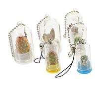 BESPORTBLE Lot De 6 Vases en Verre Miniatures Transparents pour Porte-clés, Jardinières Suspendues, 2,5x5cm, 2x4,5cm Et 3x6cm, Décoration De Terrarium Et Propagation De Plantes