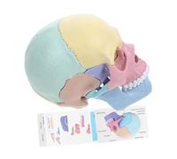 BESPORTBLE Modèle Anatomique de Crâne Humain Détachable en Plastique Réaliste 4d pour Éducation Artistique et Salle de Classe, Puzzle de Crâne Squelettique à Assembler