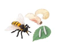 BESPORTBLE Modèle de Cycle de Vie Abeille Simulation Réaliste Éducatif Décoratif pour École et Musée