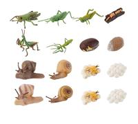 BESPORTBLE Modèle d'Évolution Animale 16 Pièces en ABS Écologique - Figurines Cycle de Vie Réalistes pour Garçon et Filles - Éducatif Ludique et Scientifique pour Couleur Couleur Aléatoire