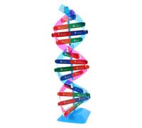 BESPORTBLE Modèle Double Hélice Éducatif Outil Apprentissage Génétique Robuste et Portable Kit de Biologie pour Enseignement Scolaire et Étude à