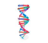 BESPORTBLE Modèle Éducatif Kit de Construction Scientifique pour de Gènes Humains Matériel Didactique pour Cours de et DNA Double