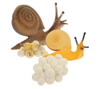 BESPORTBLE Modèle Escargot Cycle de Vie Éducatif Plastique Sécurisé pour Garçon Fille Aide Pédagogique Réaliste pour Apprentissage Animalier et Évolution Naturelle