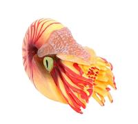 BESPORTBLE Modèle Nautile Plastique Compact pour Garçon Fille Figurine Animaux Marins Réaliste Éveil et Décoration Océan Sensibilisation Nature et Histoire Naturelle