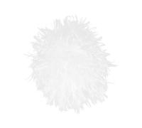 BESPORTBLE Perruque De Cosplay Pour Déguisement De Physicien Perruque Bouclée Et Pour Soirée