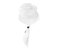 BESPORTBLE Perruque De Juge Pour Homme Perruque Avocat Blanche Accessoire De Costume Fibre Haute Température