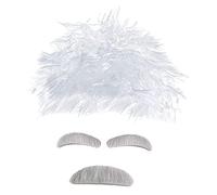 BESPORTBLE Perruque Scientifique Courte Blanche Moustache Sourcils Accessoires De Costume De Professeur Pour Cosplay Halloween Fêtes Costumées