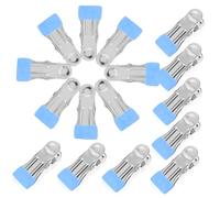 BESPORTBLE Pinces De Fixation en Acier Inoxydable pour Couverture De Piscine Hors Sol 30 Pièces Bleu Ciel Clips Antivent pour Bâche Piscine Hiver Accessoires Solide pour Jardin Extérieure