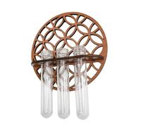 BESPORTBLE Plantes Vivantes pour Terrarium Jardinière en Plastique avec Base en Bois Vase pour Terrarium À Plantes Aériennes