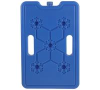 BESPORTBLE Poche de Glace Réutilisable Cool Pack 1300ml 44 Oz en Plastique | Fête Estivale, Lunchbox Ice Bricks et Can Cooler Ice Pack, Congélateur Camping pour Transport Alimentaire