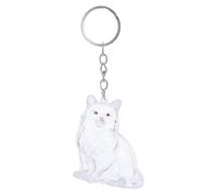 BESPORTBLE Porte-clés de Souvenir pour Poils de Chat Transparent Boîte Capsule de Rangement Portable pour Mémoire Animale Collecteur de Poils Pratique pour Amoureux des Chats